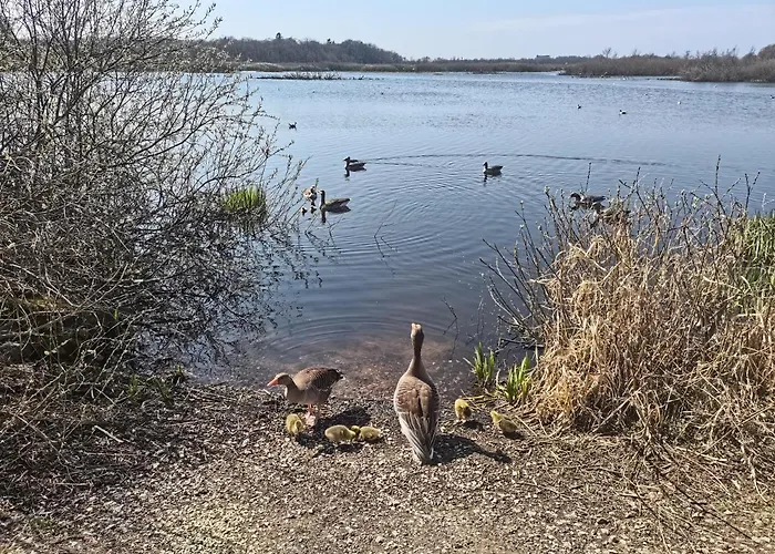 Hotell Apartament Natura