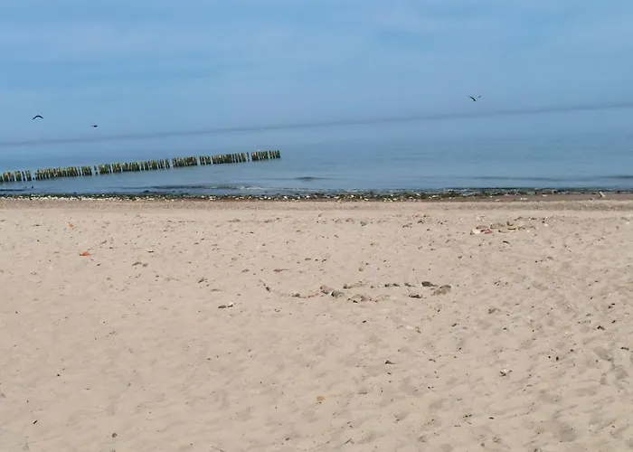 Apartament Natura * Kołobrzeg