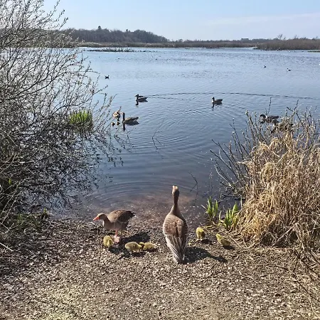 酒店 Apartament Natura