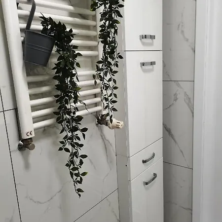 Apartament Natura 酒店 科沃布热格