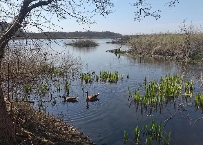 Apartament Natura Hotel